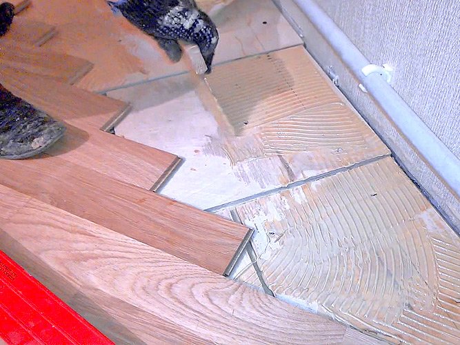 Правильне укладання штучного паркету своїми руками