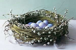 Гніздо з гілок своїми руками — виготовлення декоративного пташиного житла