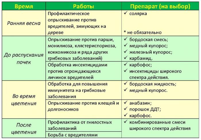 Весняне обприскування саду від шкідників і хвороб, ніж обприскувати дерева