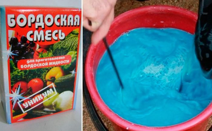 Весняне обприскування саду від шкідників і хвороб, ніж обприскувати дерева