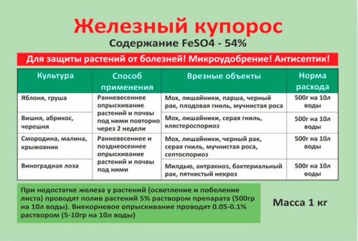 Обробка саду залізним купоросом навесні і восени