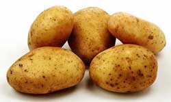 Найкращі сорти картоплі – характеристика Найкращі сорти картоплі – характеристика