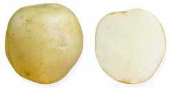 Найкращі сорти картоплі – характеристика Найкращі сорти картоплі – характеристика