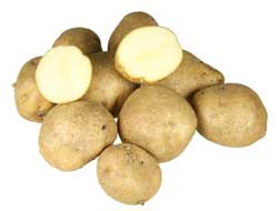 Найкращі сорти картоплі – характеристика Найкращі сорти картоплі – характеристика