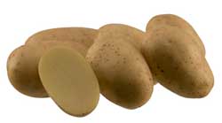 Найкращі сорти картоплі – характеристика Найкращі сорти картоплі – характеристика