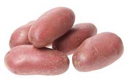 Найкращі сорти картоплі – характеристика Найкращі сорти картоплі – характеристика