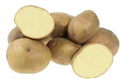 Найкращі сорти картоплі – характеристика Найкращі сорти картоплі – характеристика