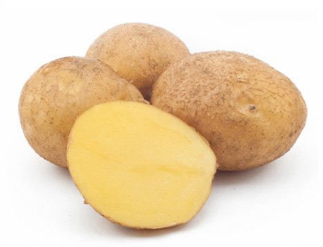 Найкращі сорти картоплі – характеристика Найкращі сорти картоплі – характеристика