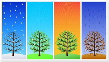 Назва пір року англійською мовою переклад