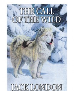 Тексти рівня Intermediate