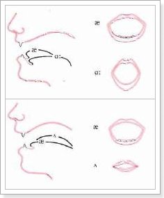 Вимова звуків англійської мови слухати Вимова звуків англійської мови слухати