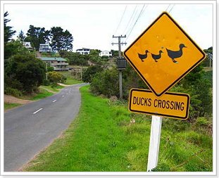 Розмовні фрази англійською мовою з перекладом в таблицях