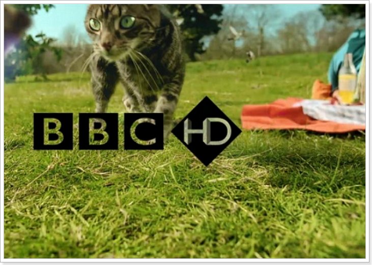 Англійське телебачення: вчимо англійську перед ТВ