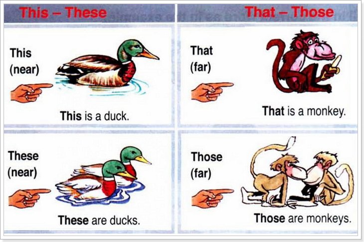 Як легко вивчити займенника в англійській мові?