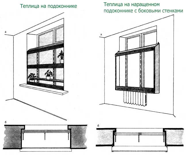Кімнатна теплиця – парник для кімнатних рослин Кімнатна теплиця – парник для кімнатних рослин