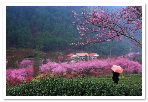 Найкрасивіші англійські слова з перекладом