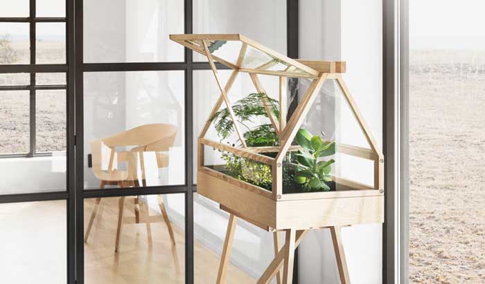 Кімнатна теплиця – парник для кімнатних рослин Кімнатна теплиця – парник для кімнатних рослин