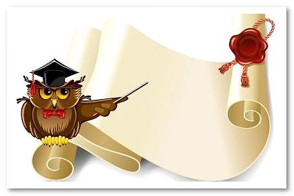 Класифікація та приклади омонімів в англійській мові