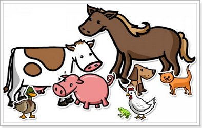 Тварини на англійській мові з перекладом в картинках