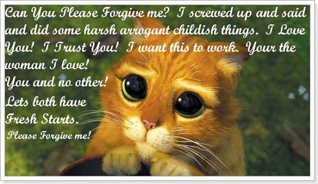 Вибач по англійськи   Excuse або sorry