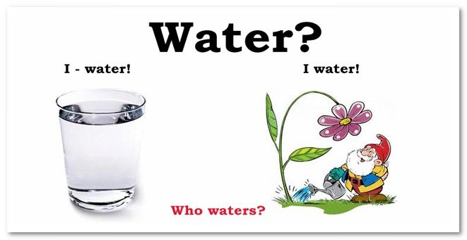 Класифікація та приклади омонімів в англійській мові