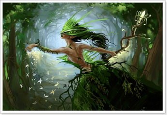 Дерева англійською мовою