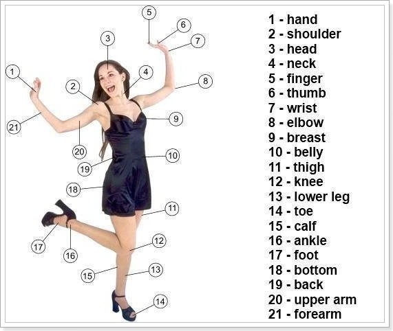 Прикметники, що характеризують людину англійською