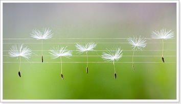 Пісні для вивчення англійської мови та граматики