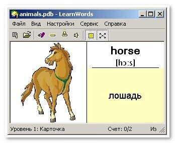 Англійський дитячий словник і його особливості