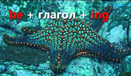 Закінчення ing в граматиці англійської мови