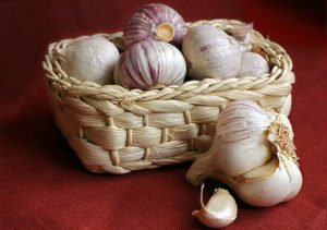 Сонник Часник головками: є, купувати, збирати в сні бачити