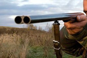 Сонник Грач чорний в будинку бачити у сні бачити до чого сняться?