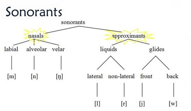 Сонорний звук   що це? Автоматизація, таблиця, характеристика сонорних звуків в англійській мові