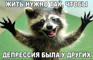 Смішні картинки для Вайбера: весела колекція