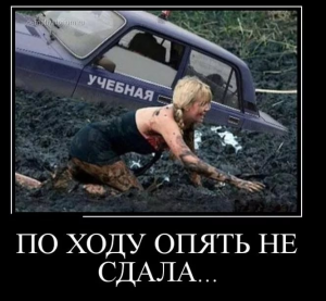 Скачати безкоштовно прикольні картинки для Вайбера   заходь!
