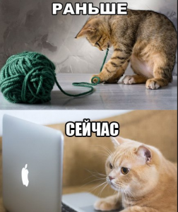 Смішні картинки для Вайбера: весела колекція