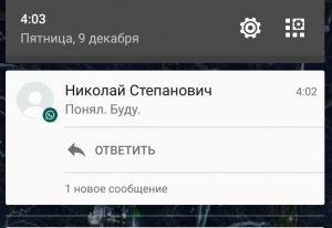Що означають галочки в WhatsApp поруч з моїми повідомленнями?