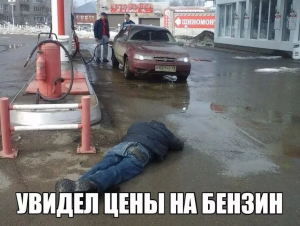 Смішні картинки для Вайбера: весела колекція