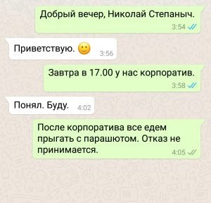 Що означають галочки в WhatsApp поруч з моїми повідомленнями?
