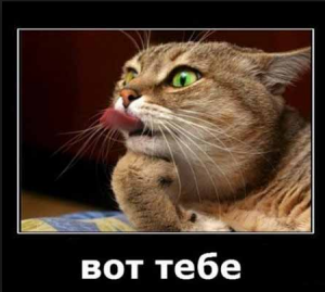 Смішні картинки для Вайбера: весела колекція