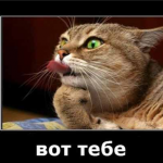 Картинки для Вайбера: завантажити безкоштовно можна у нас!