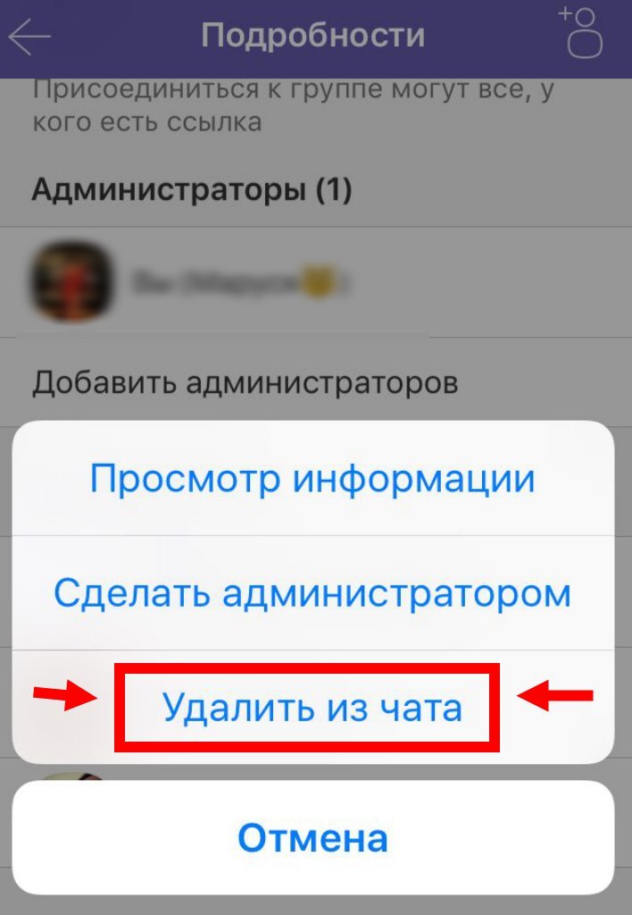 Як видалити учасника з групи в Вайбере? Видаляємо контакт групи