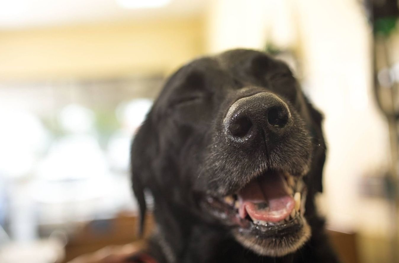 Скачати Вайбер на телефон Нокія C5 00, 03