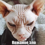 Приколи для Вайбер (Viber): скачати безкоштовно