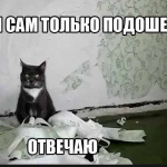 Картинки для Вайбера: завантажити безкоштовно можна у нас!