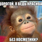 Картинки для Вайбера: завантажити безкоштовно можна у нас!