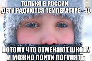 Смішні картинки для Вайбера: весела колекція