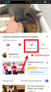 Прикольні відео ролики і приколи для Вайбера: завантажити безкоштовно
