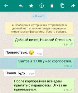 Що означають галочки в WhatsApp поруч з моїми повідомленнями?