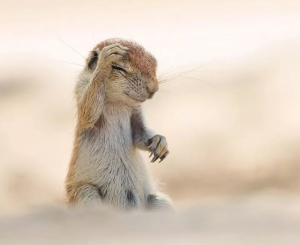 Прикольні аватарки для Вайбера для дівчат: вибирай Прикольні аватарки для Вайбера для дівчат: вибирай